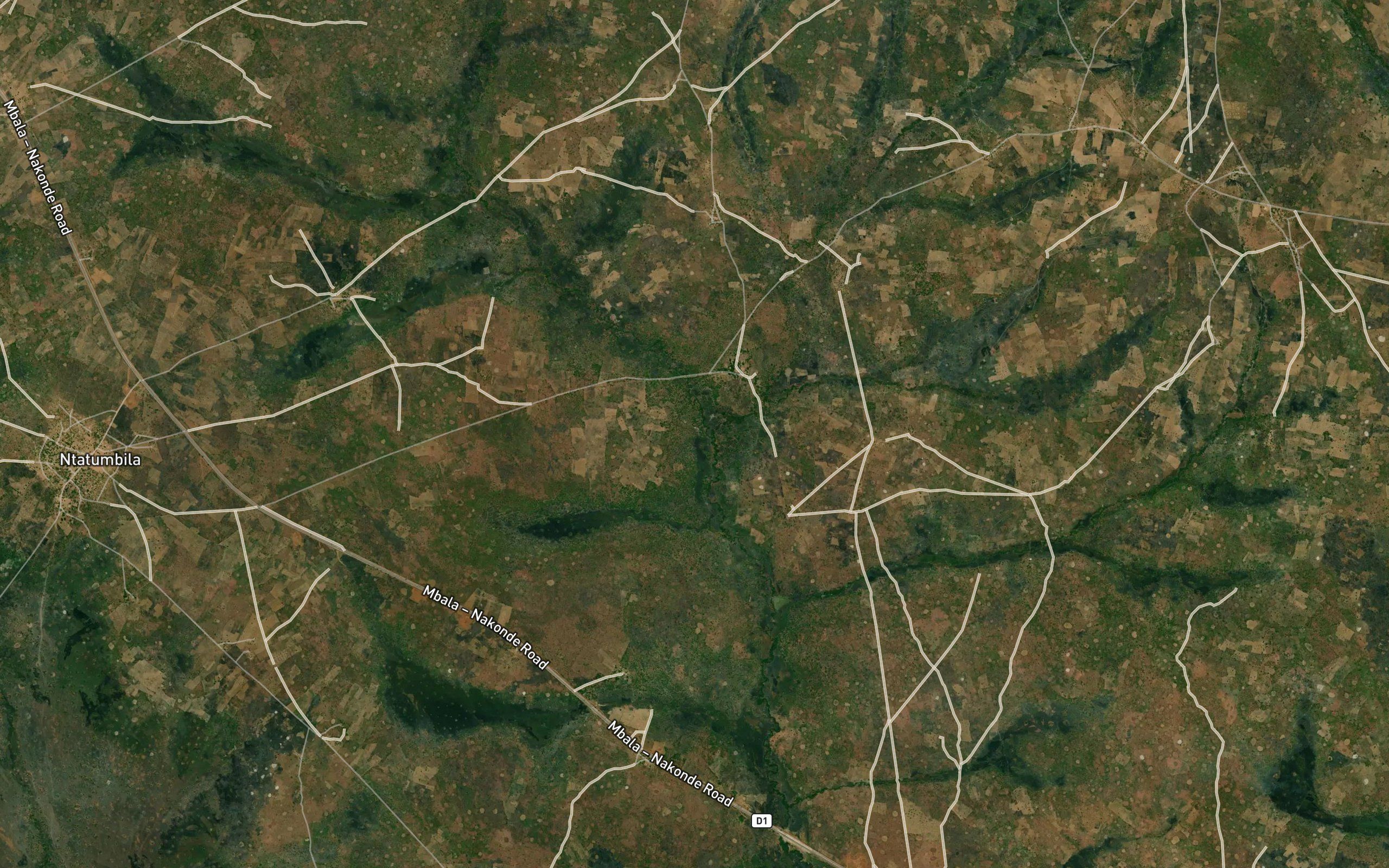 Kalambasamba