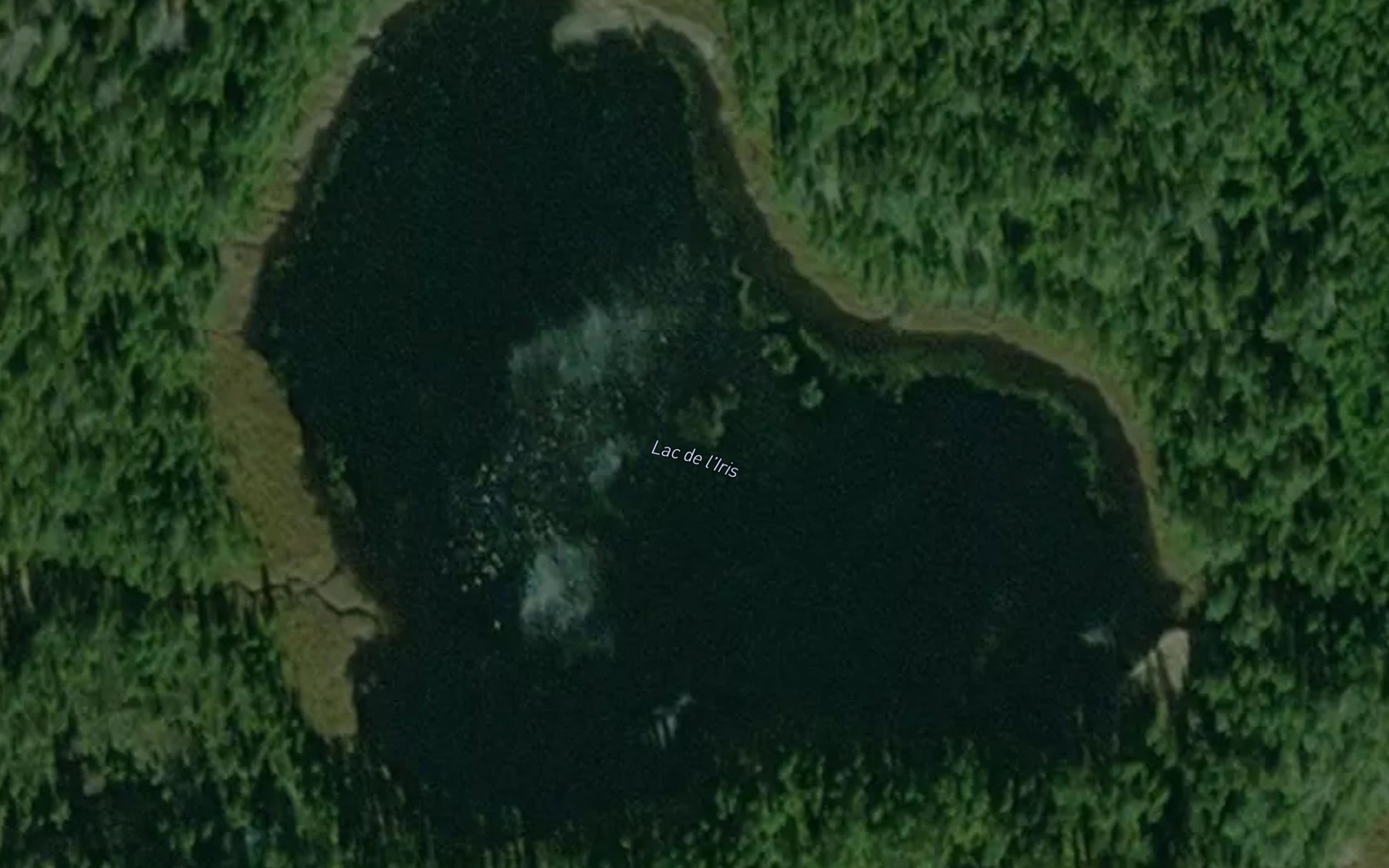 Satellite map of the Lac de l'Iris