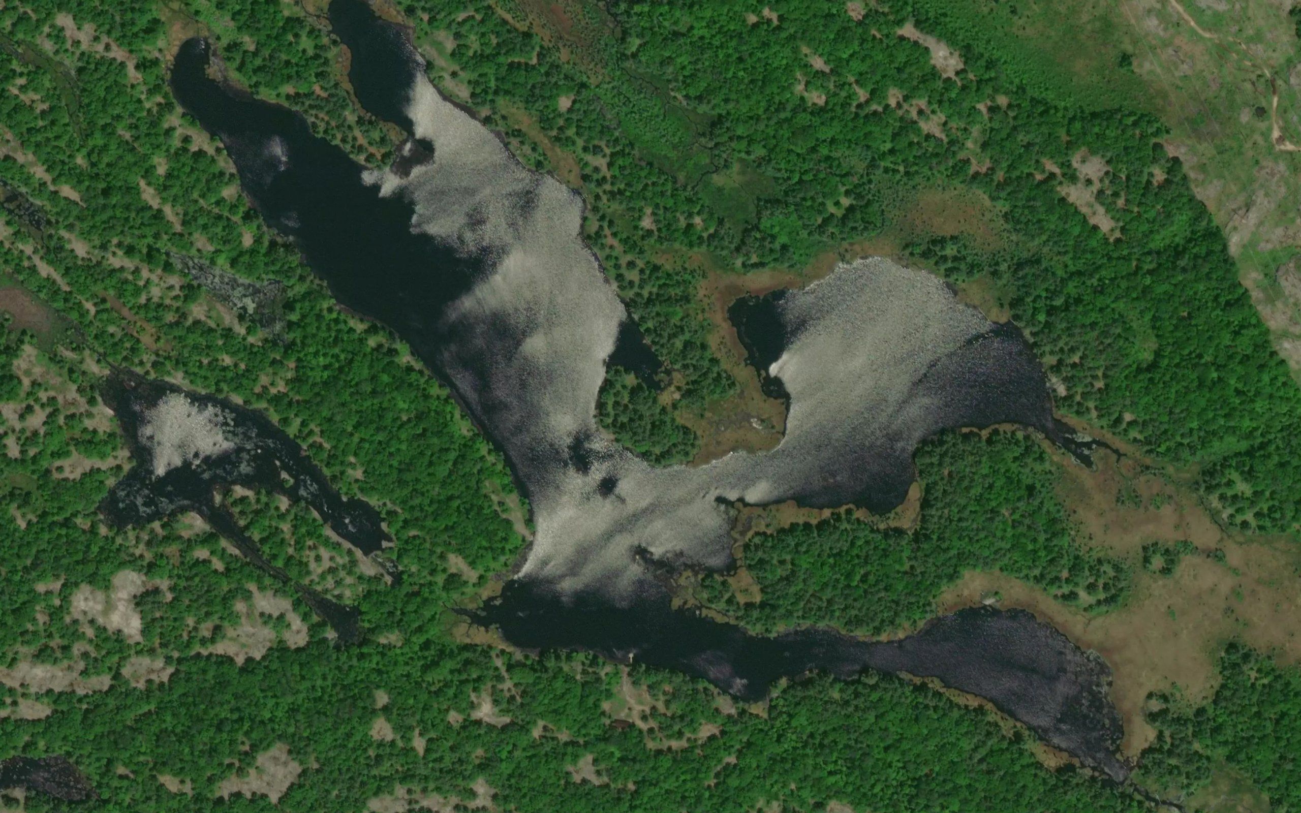 Gooley Lake