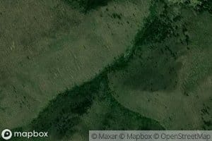 Left Fork Miller Run