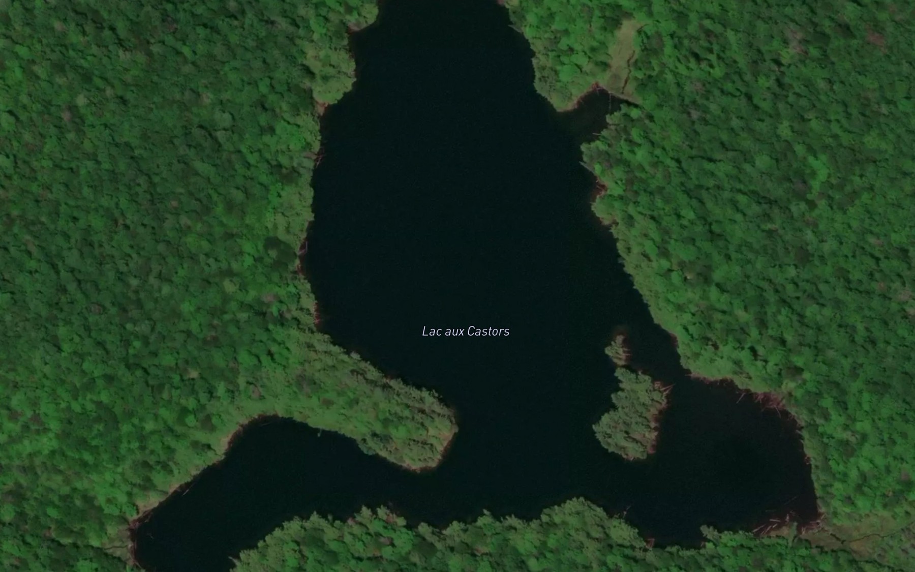 Satellite map of the Lac aux Castors