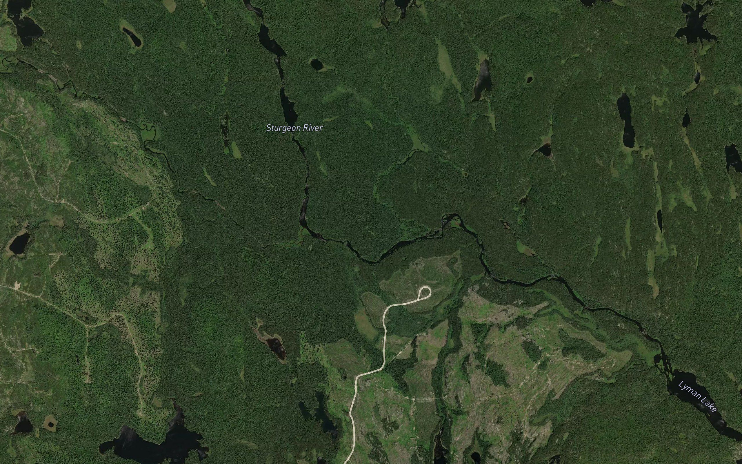 Bowland River
