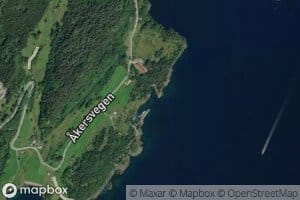 Jektevika