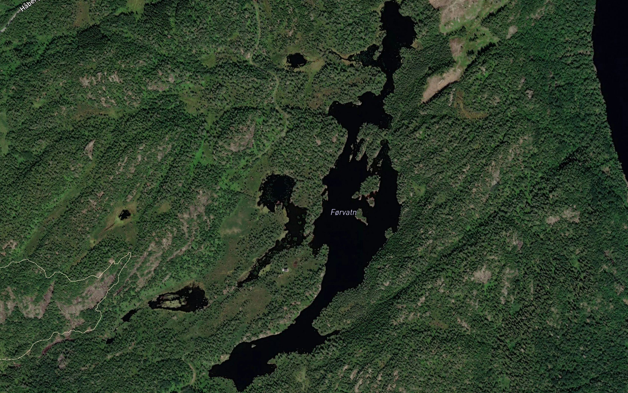 Forvatn