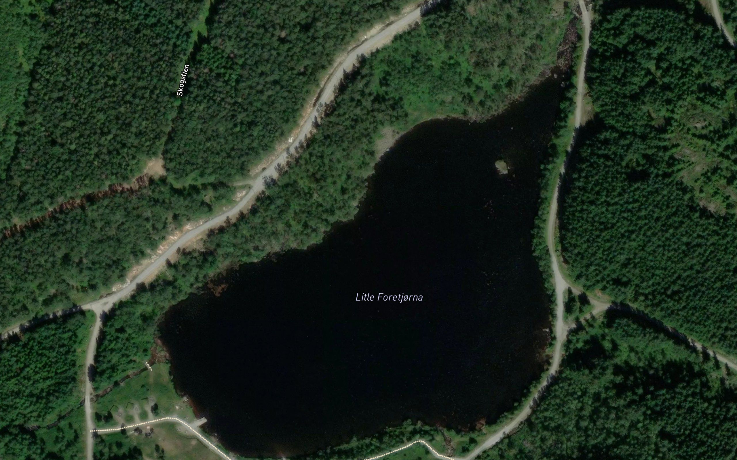 Foretjorna,litle