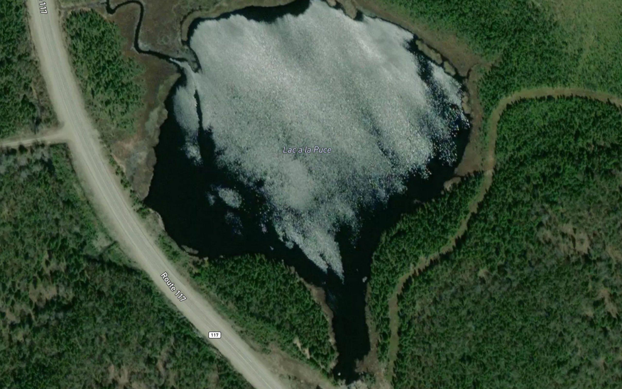 Lac a la Puce
