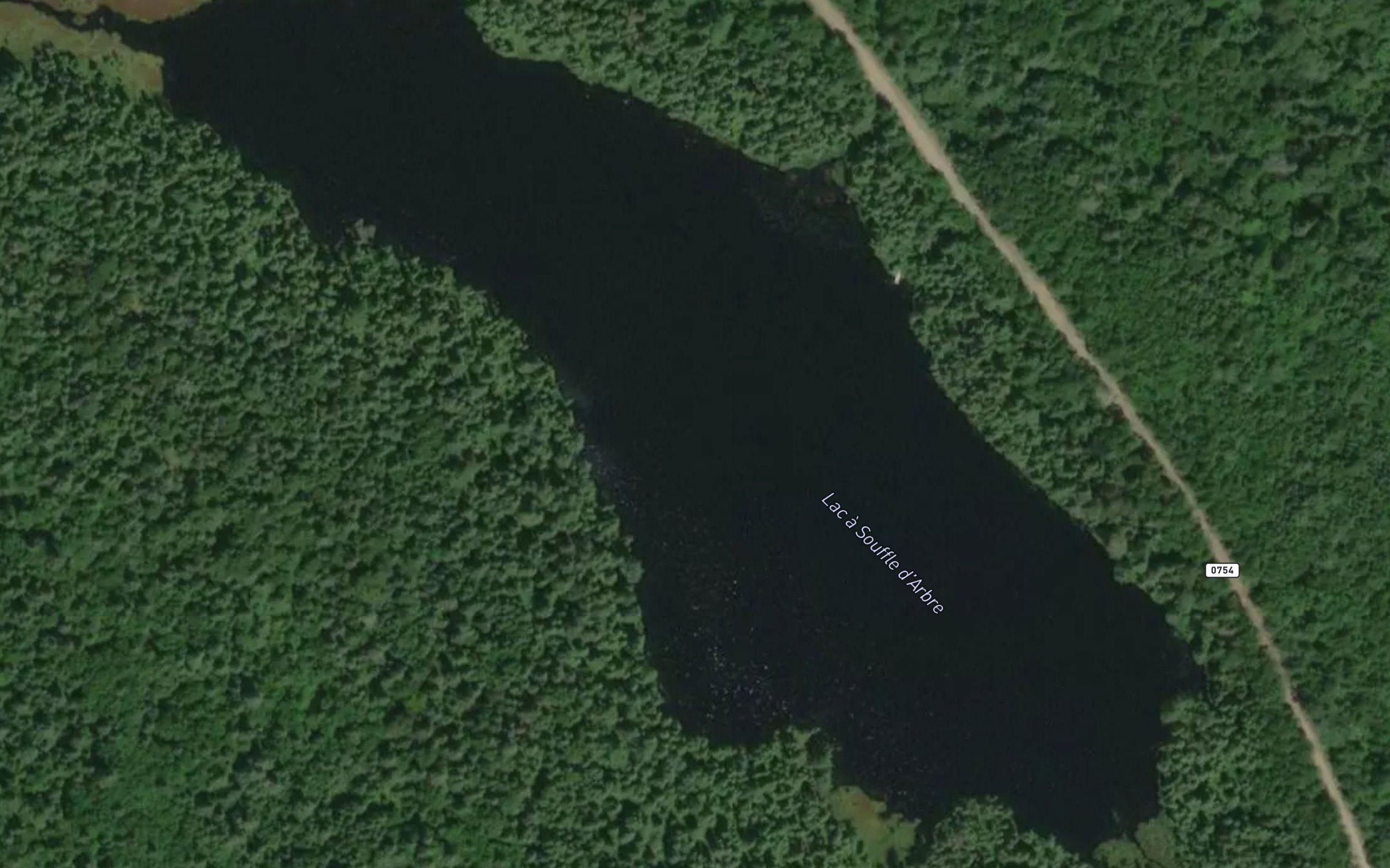 Lac a Souffle d'Arbre