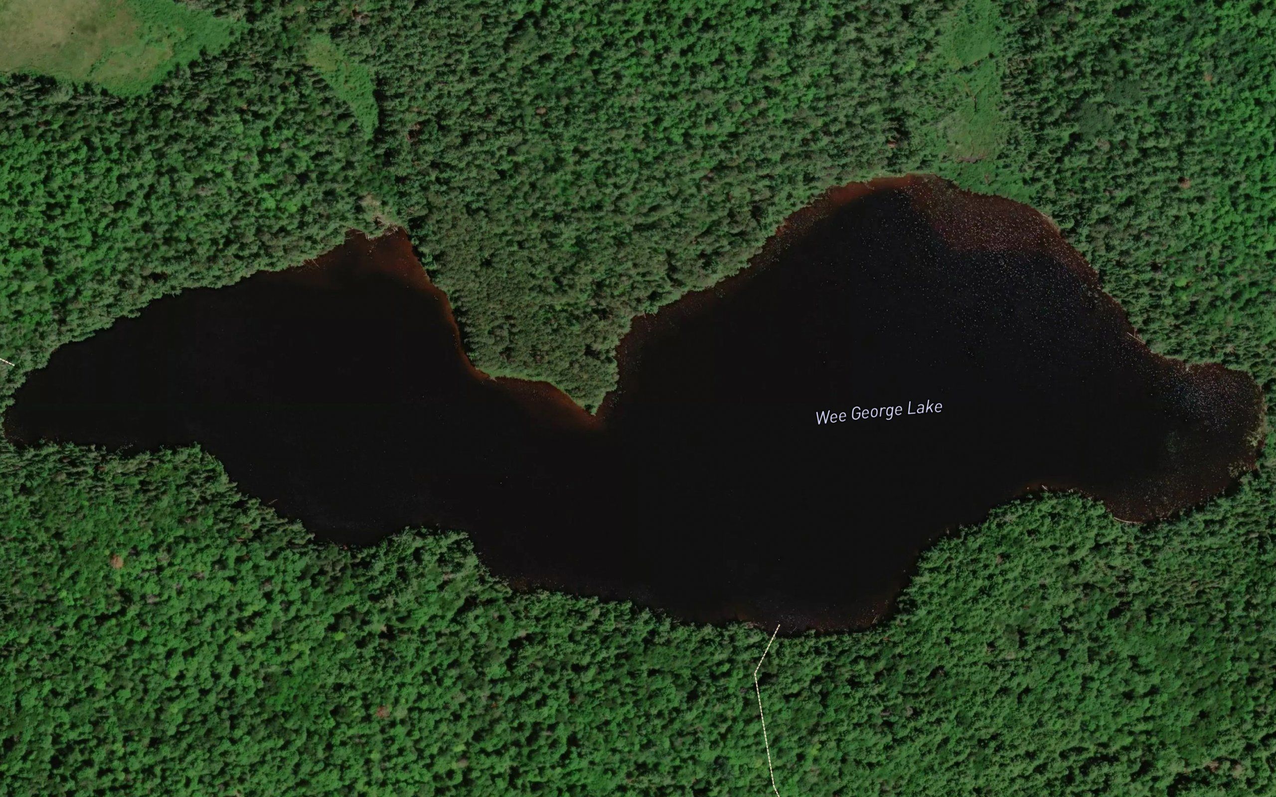 Wee George Lake