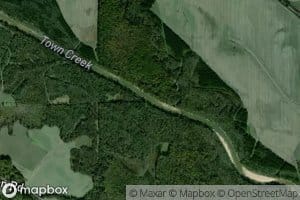 Little Bottom Branch