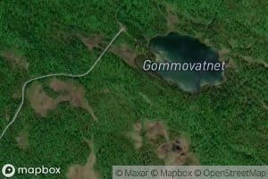 Gommovasselva