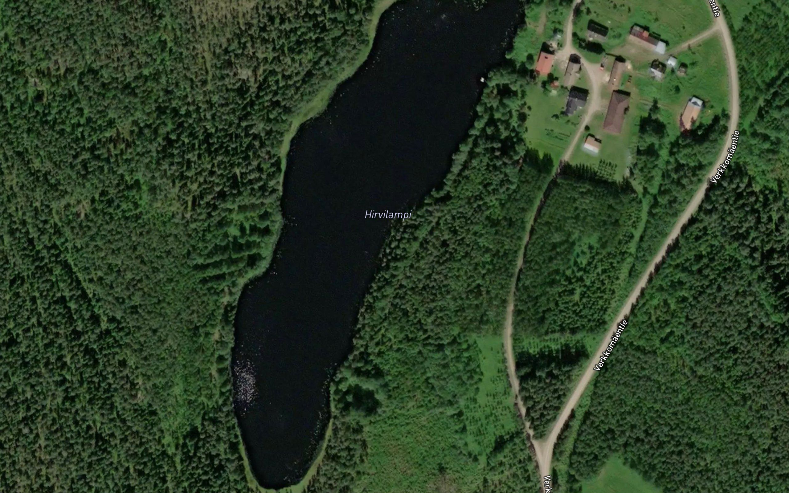 Hirvilampi
