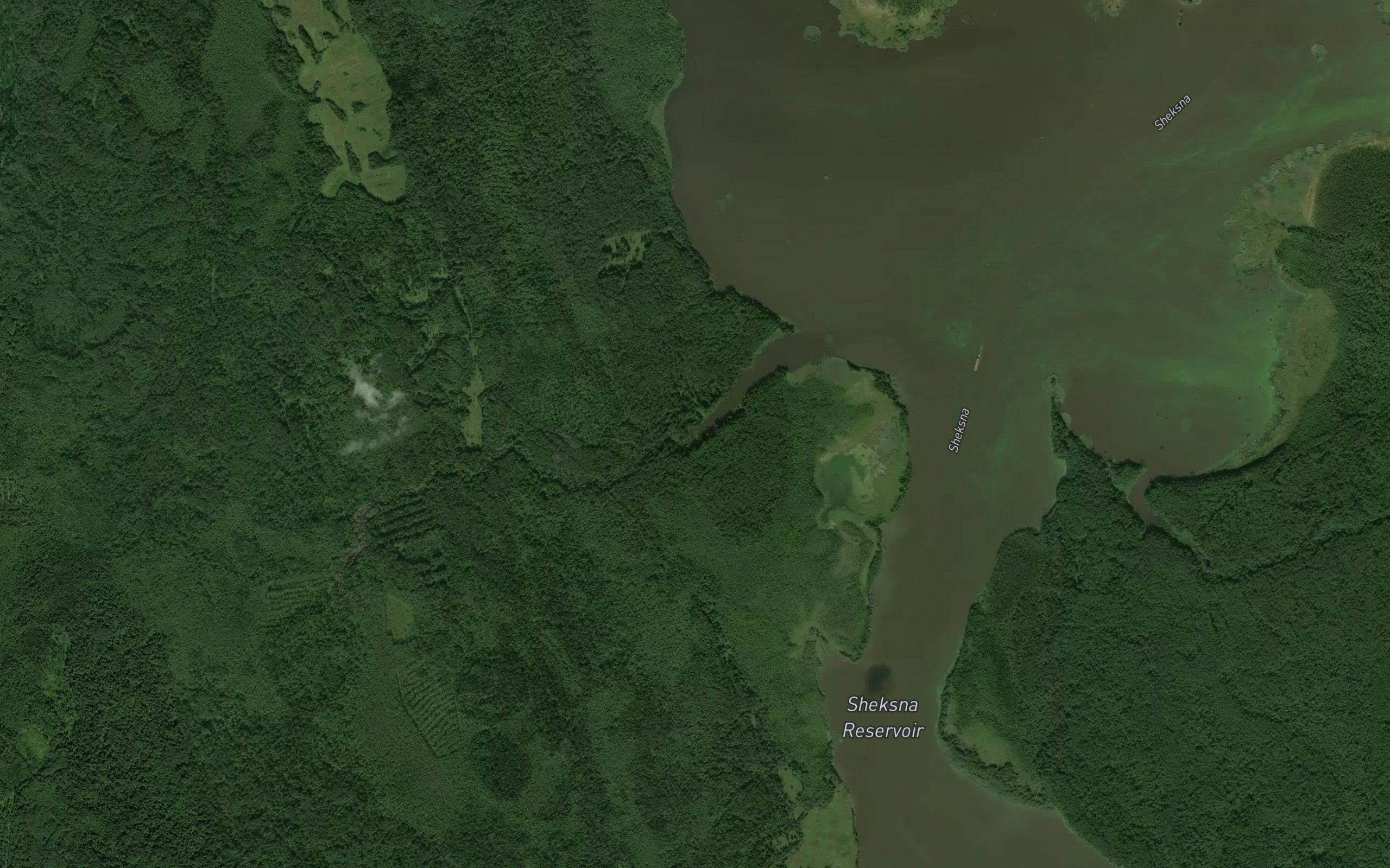 Dresvyanka
