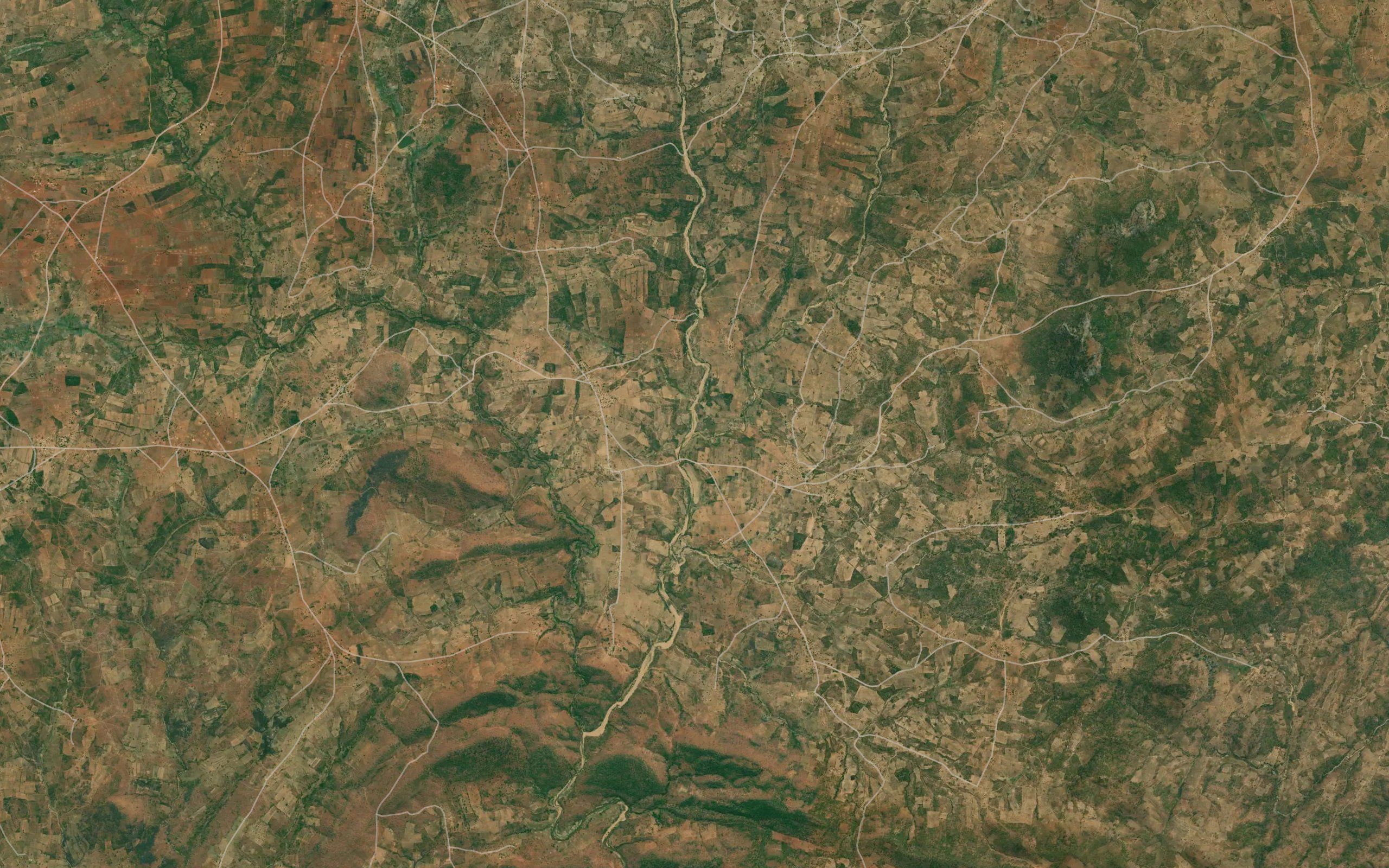Mkunkhu