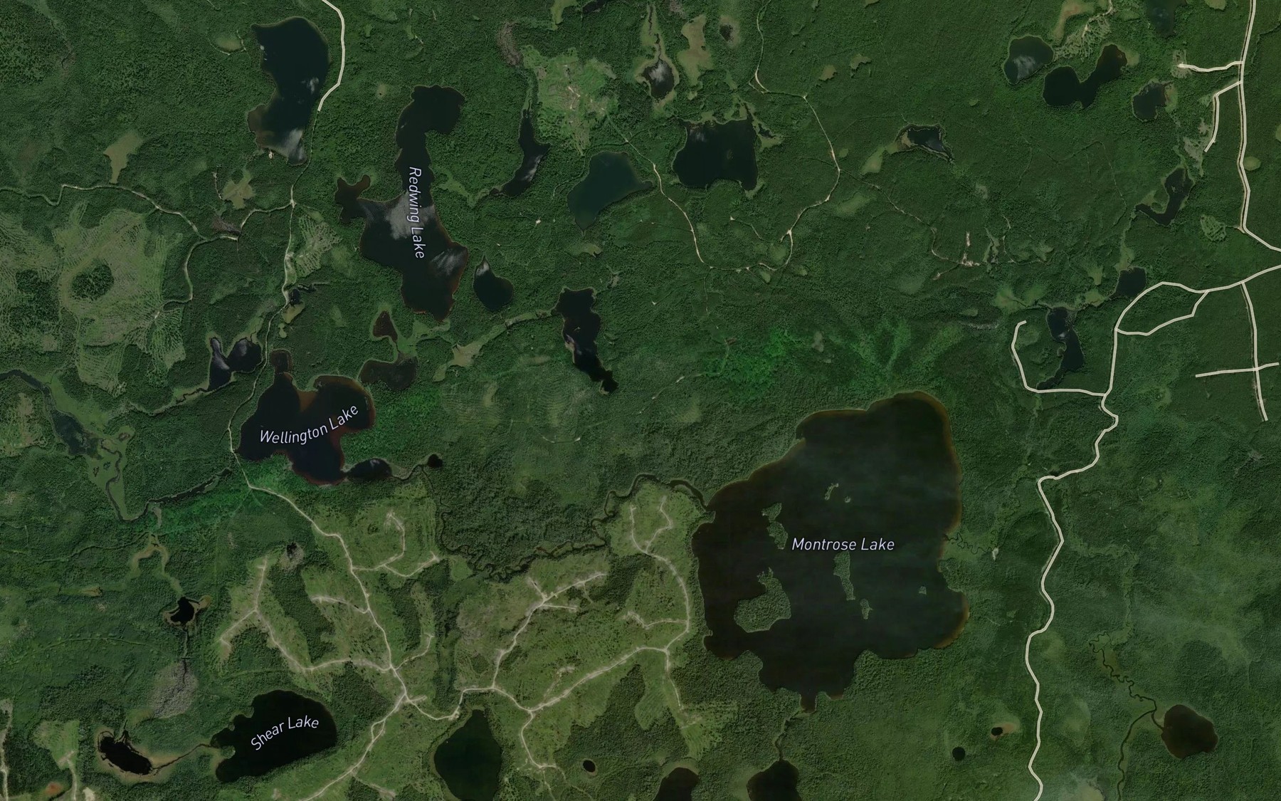 Satellite map of the Hutt Creek