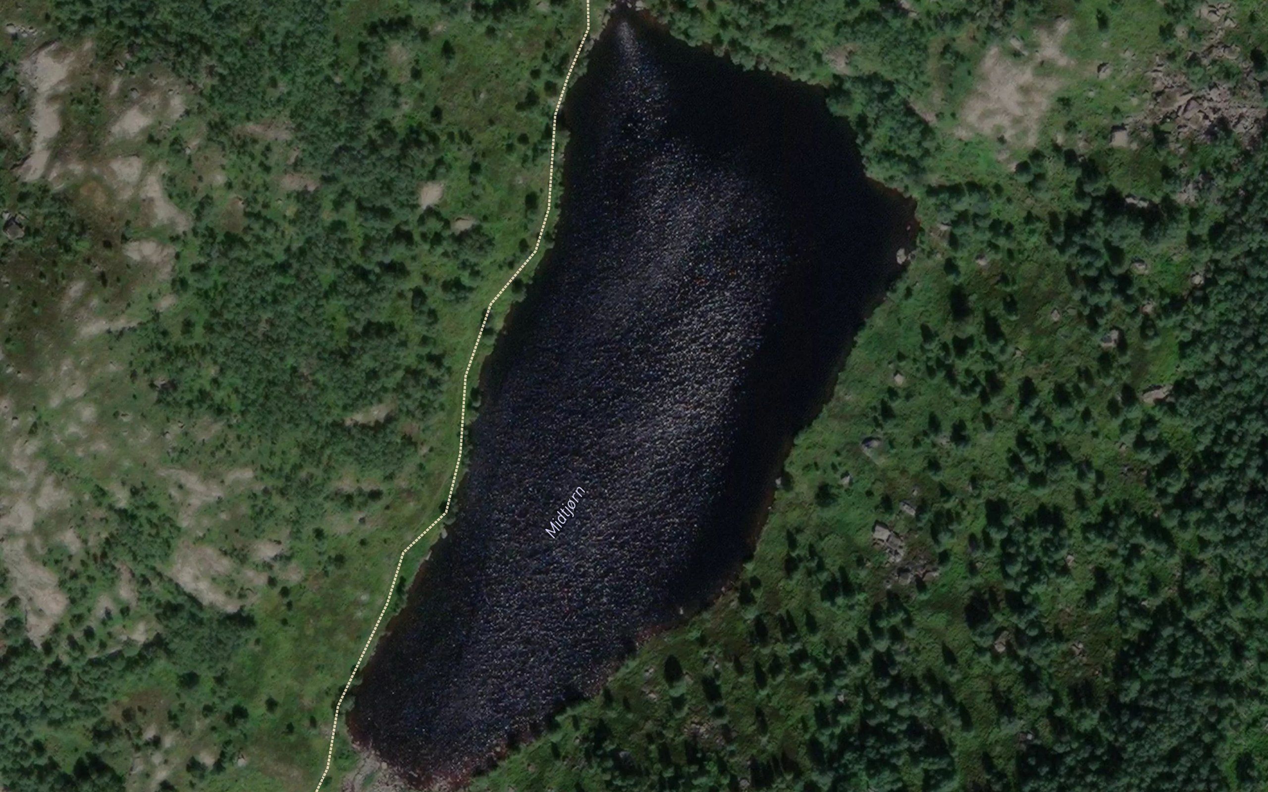 Midtjorn