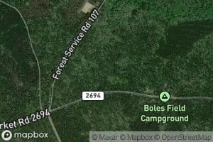 National Forest Spring