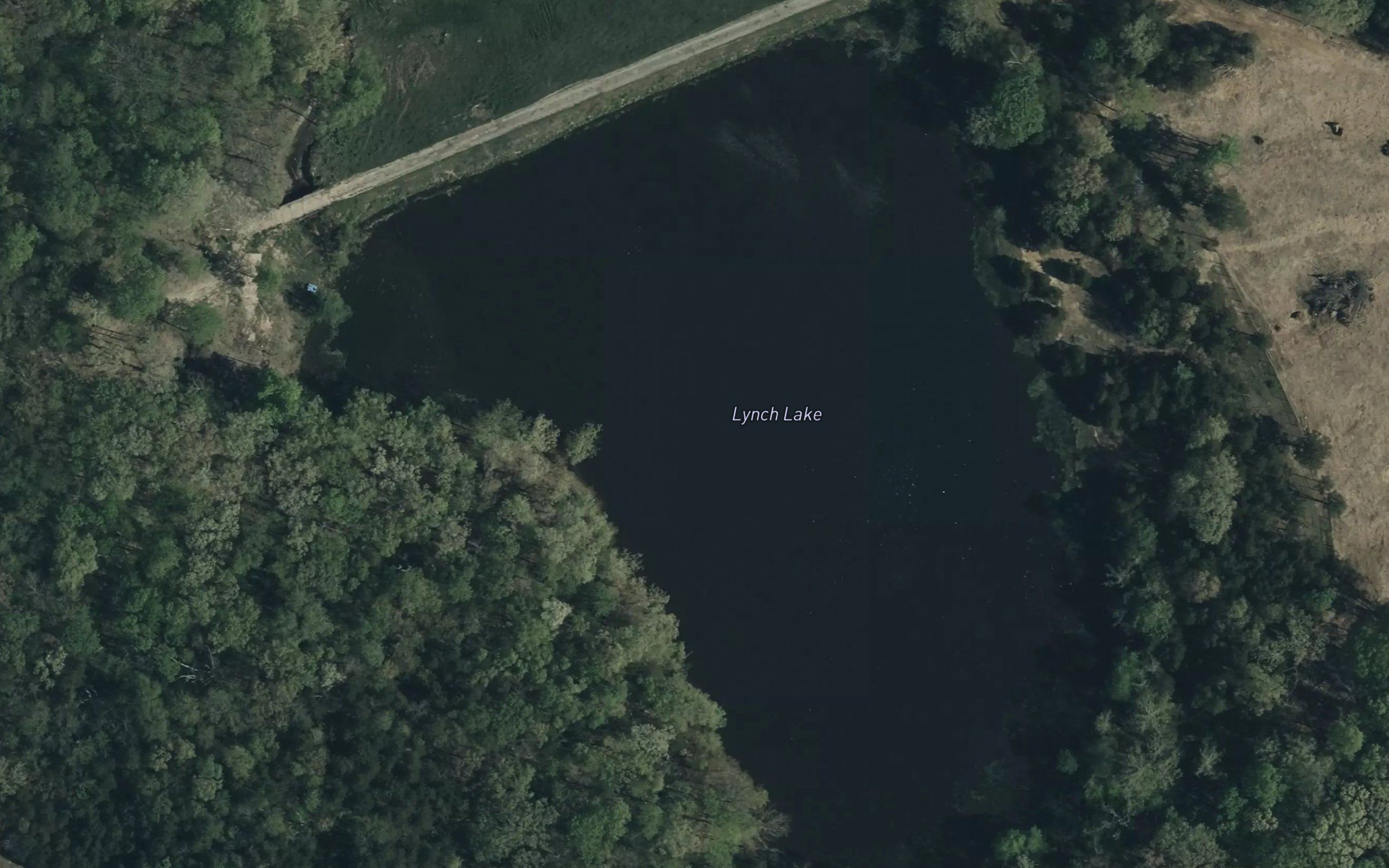 Lynch Lake