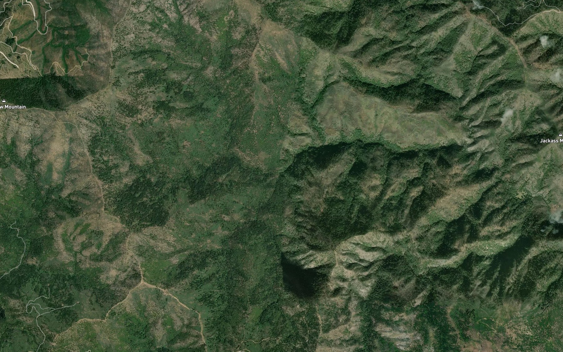 Satellite map of the South Fork Backbone Creek
