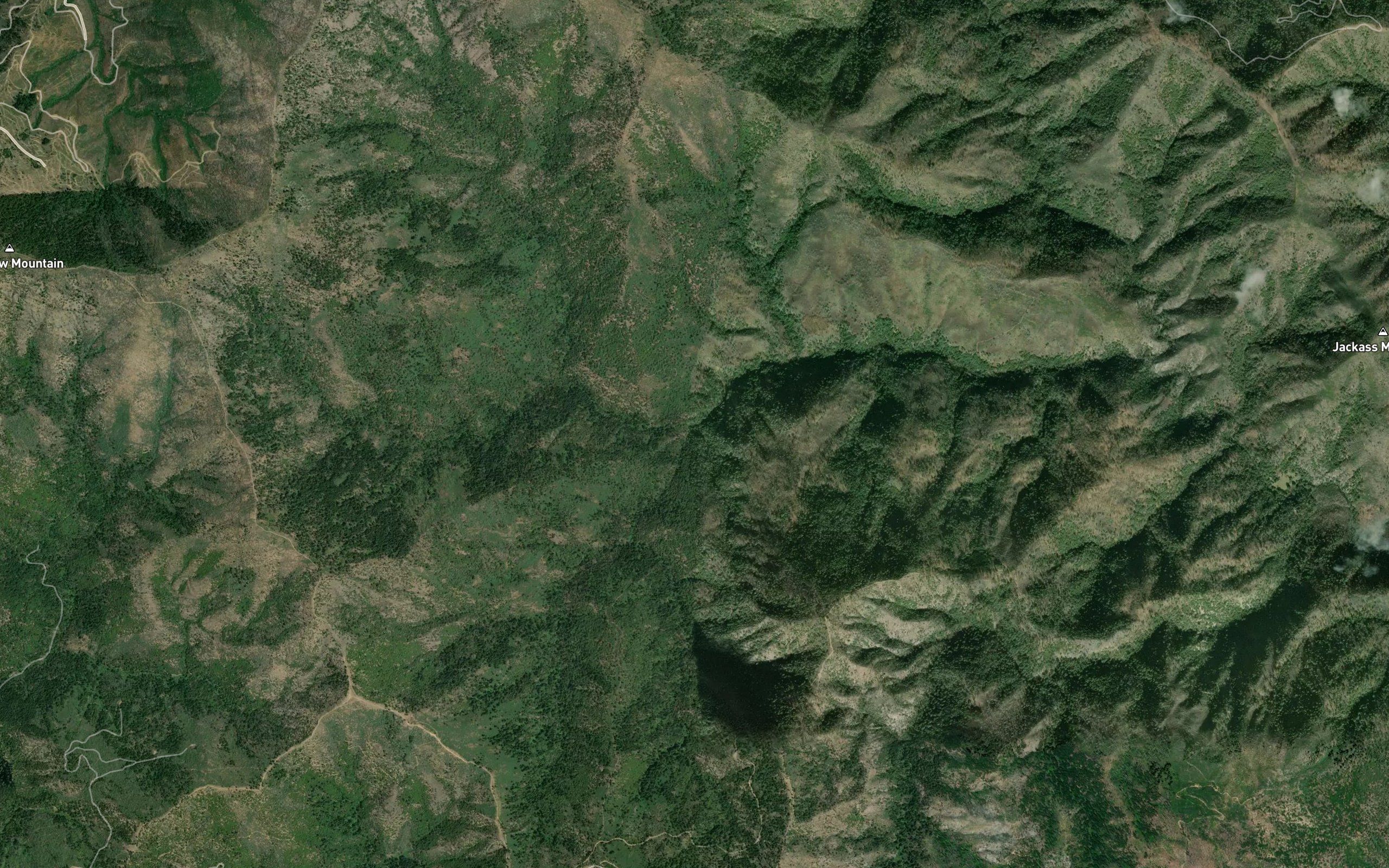 South Fork Backbone Creek