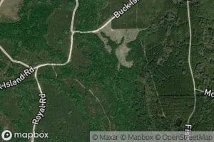 Cabbage Slough