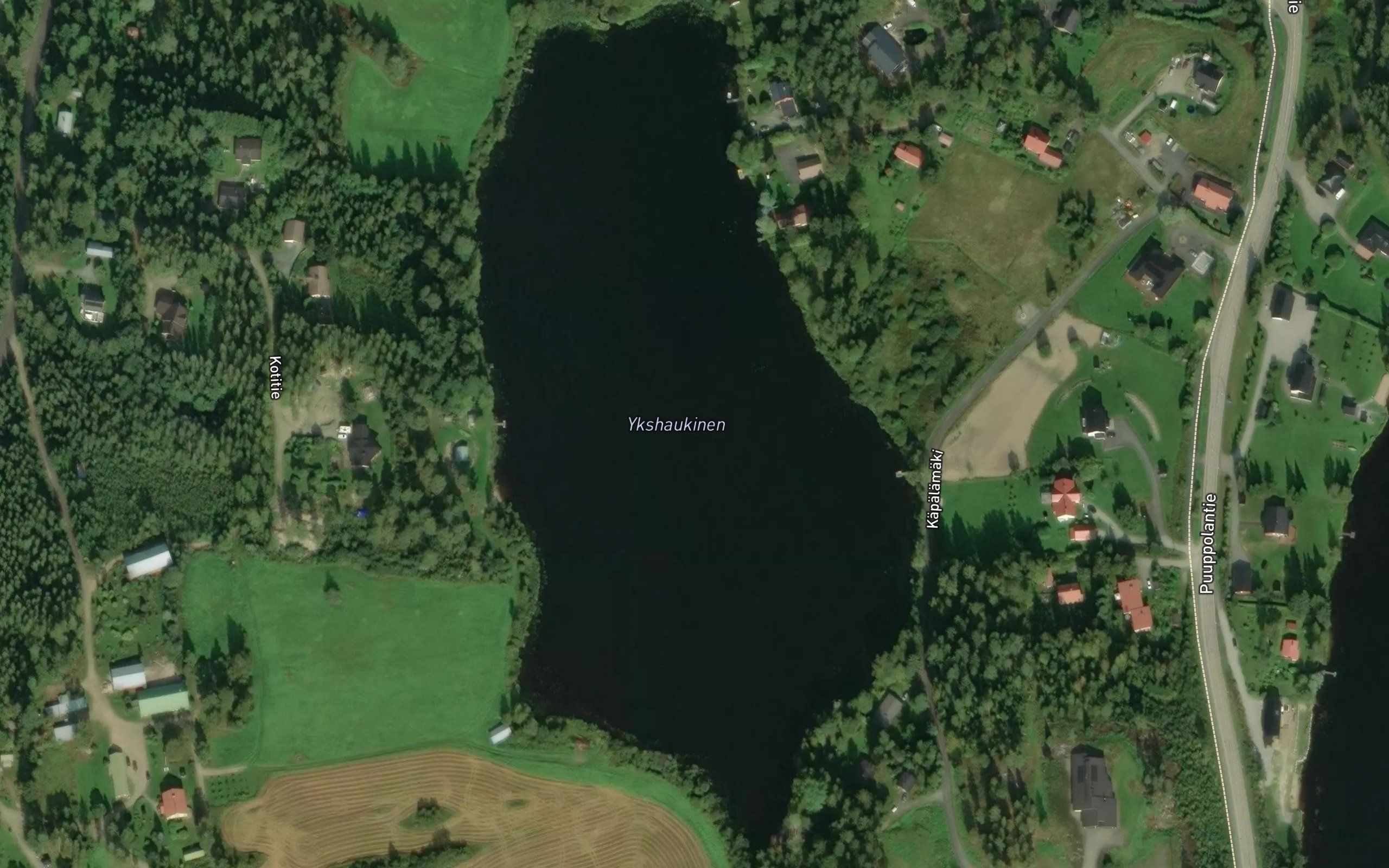 Ykshaukinen