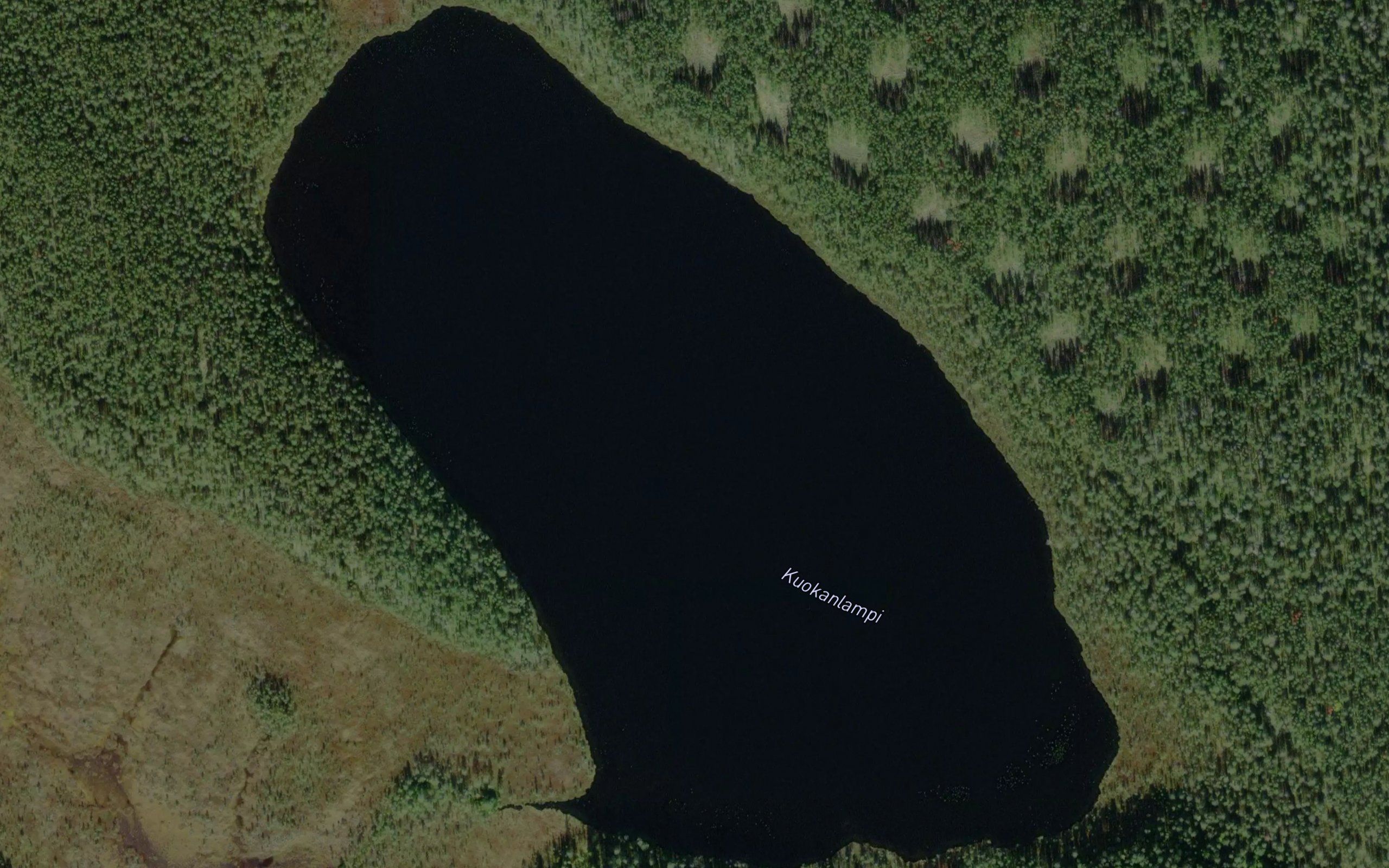 Kuokanlampi
