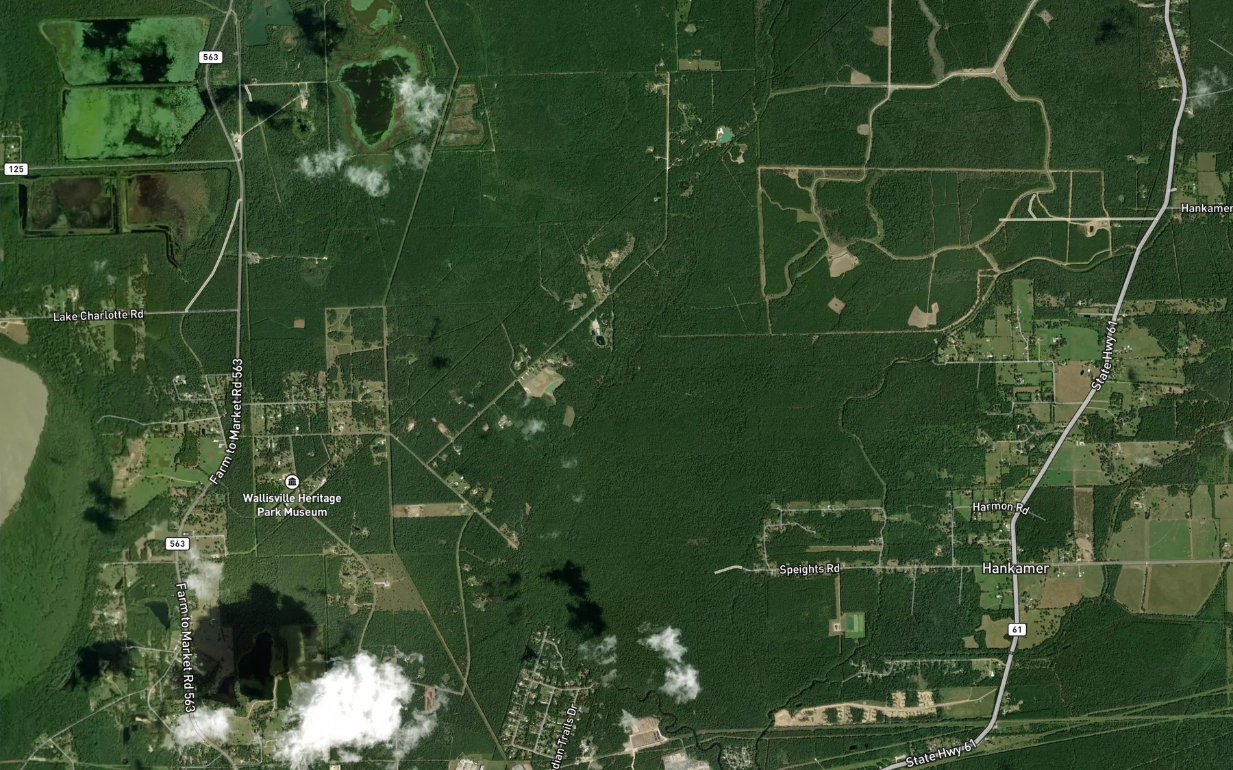 Satellite map of the Cow Island Bayou