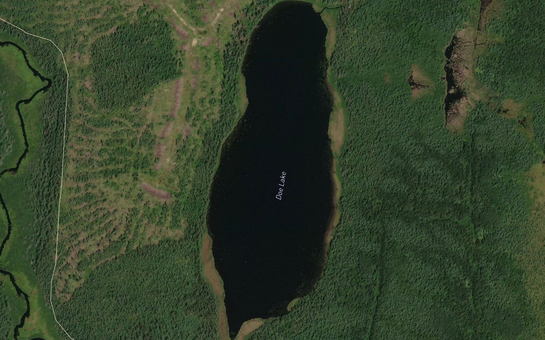 Satellite map of the Doe Lake