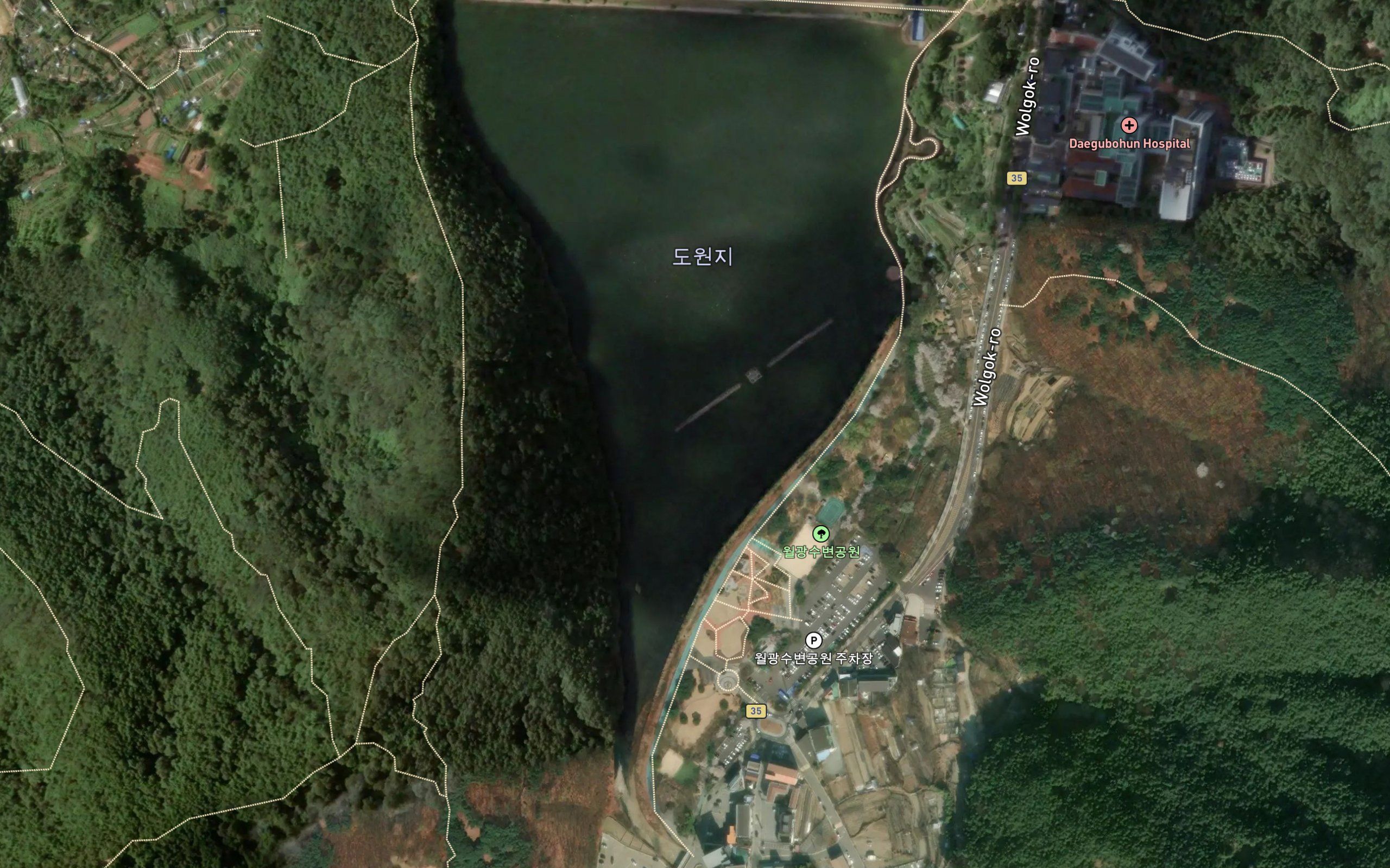 Dowonji