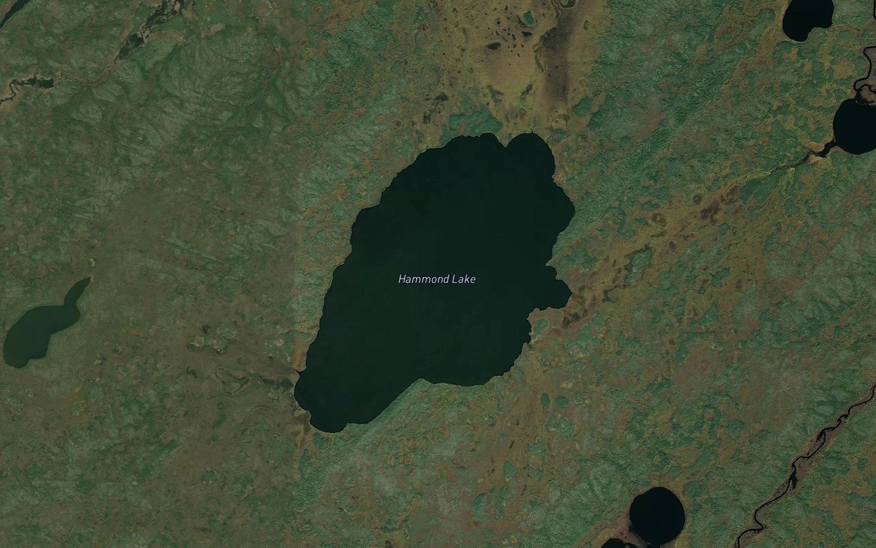 Satellite map of the Hammond Lake