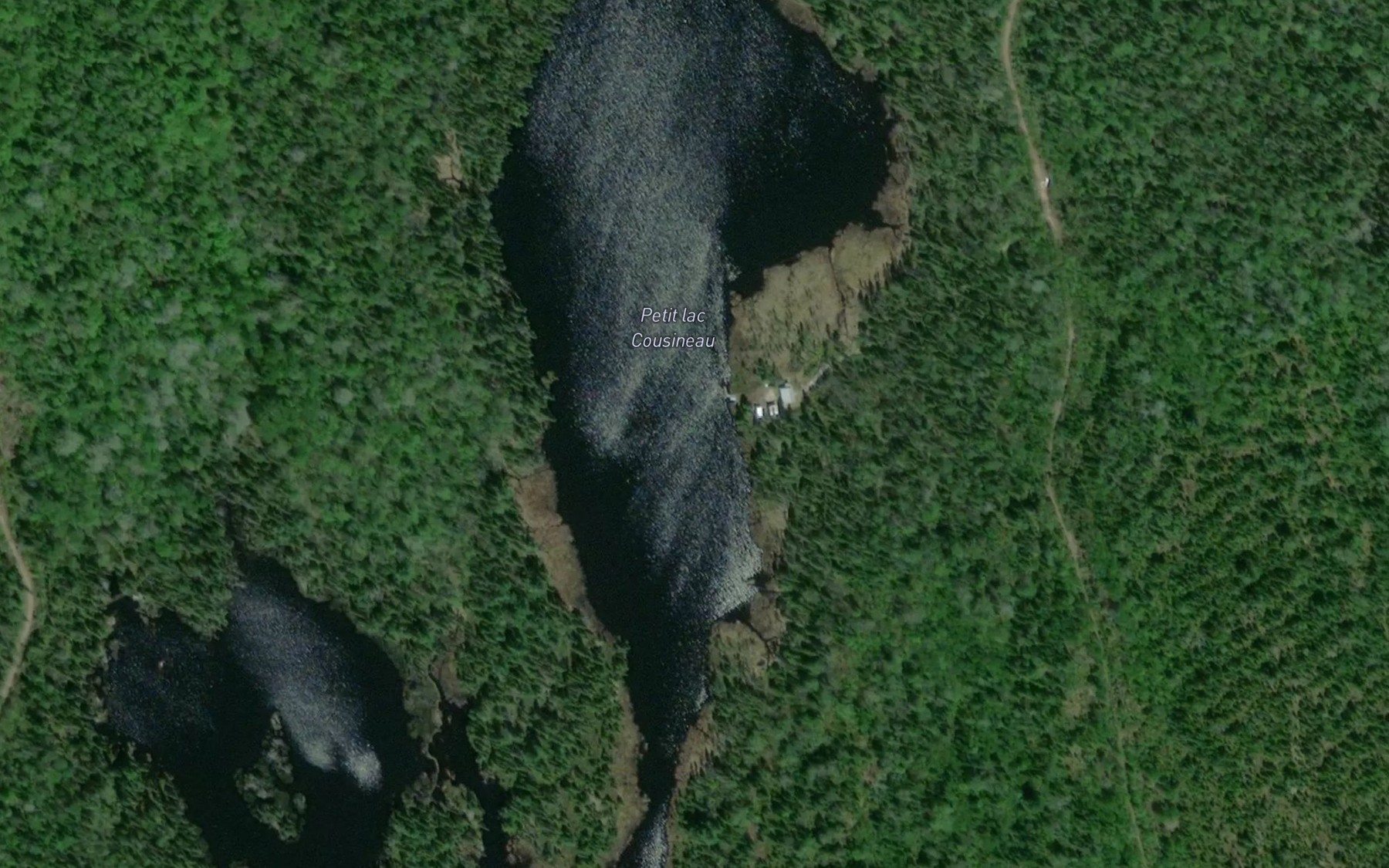 Satellite map of the Petit lac Cousineau