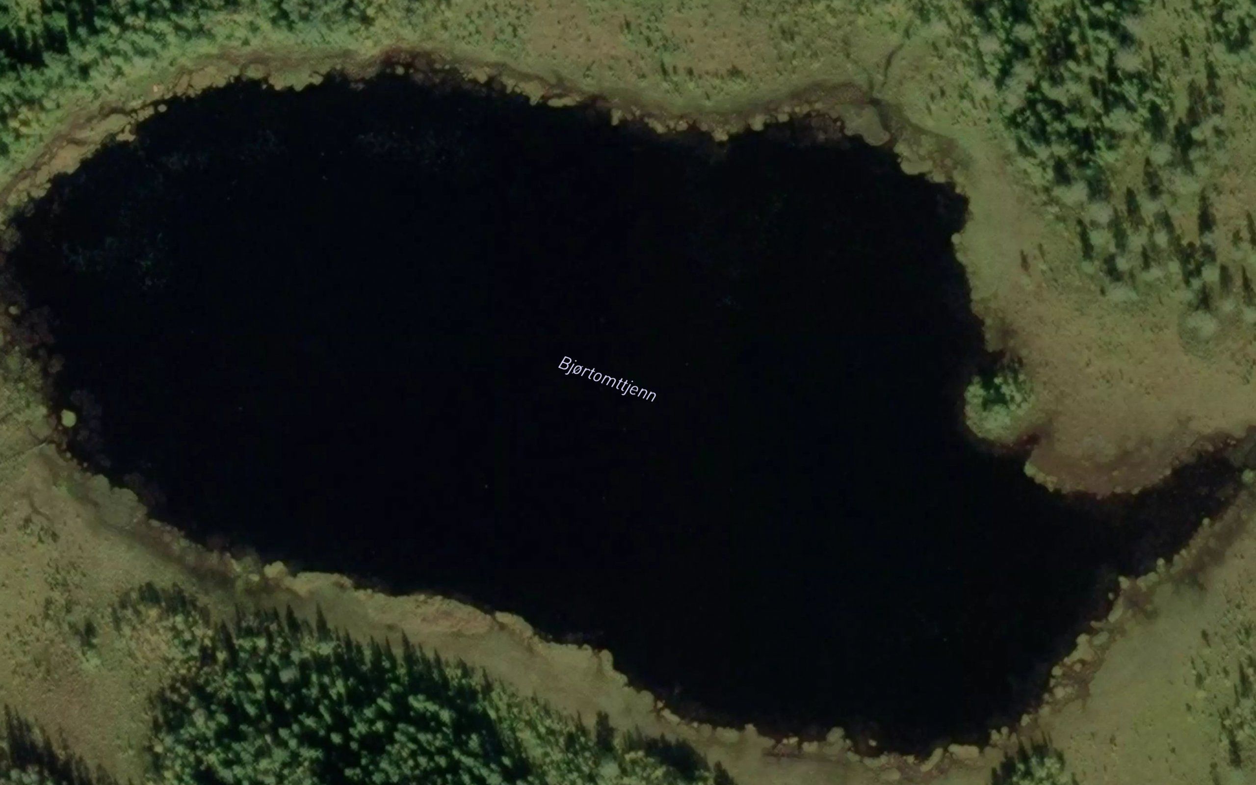 Bjortomttjennet