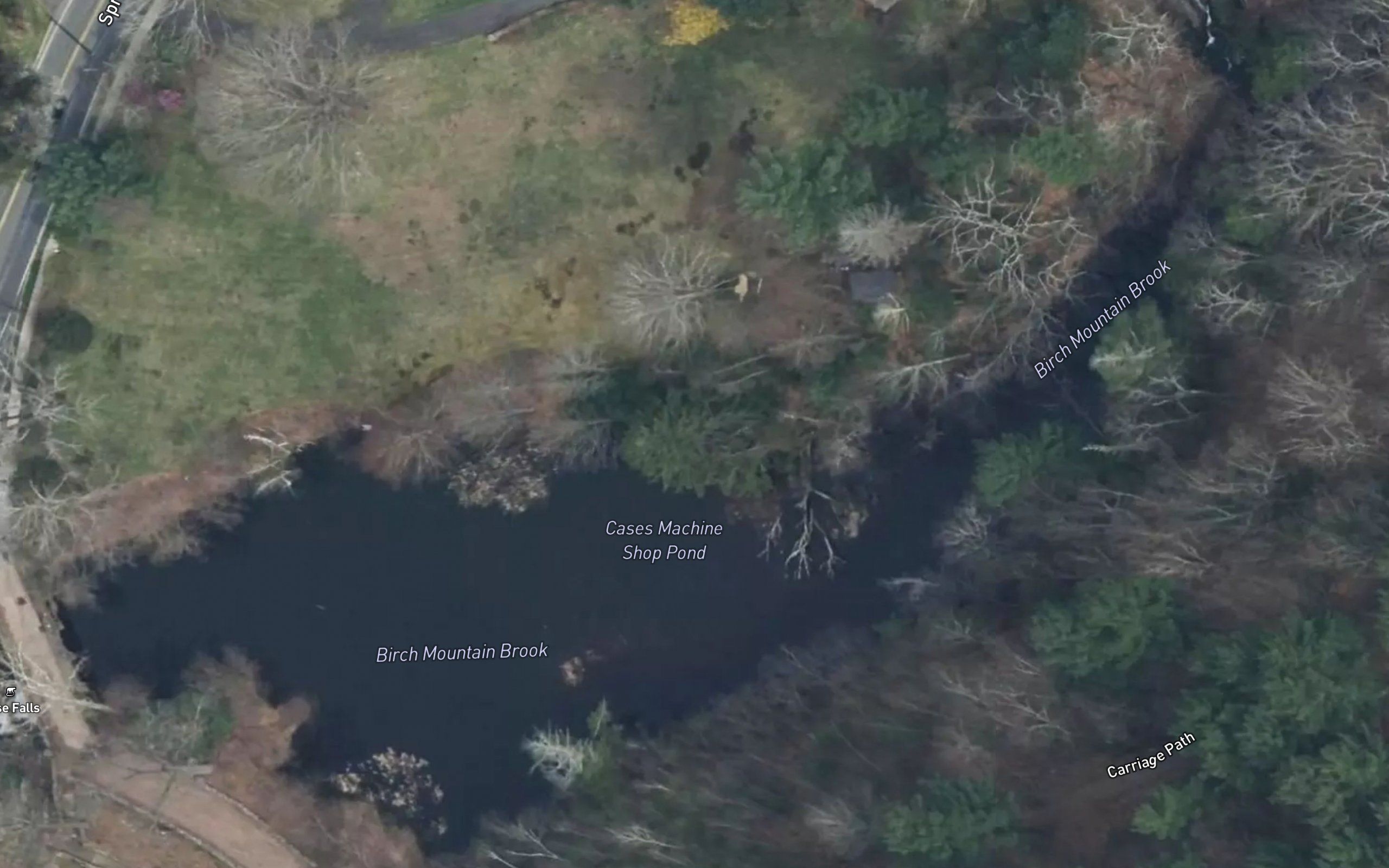 Case Pond Upper