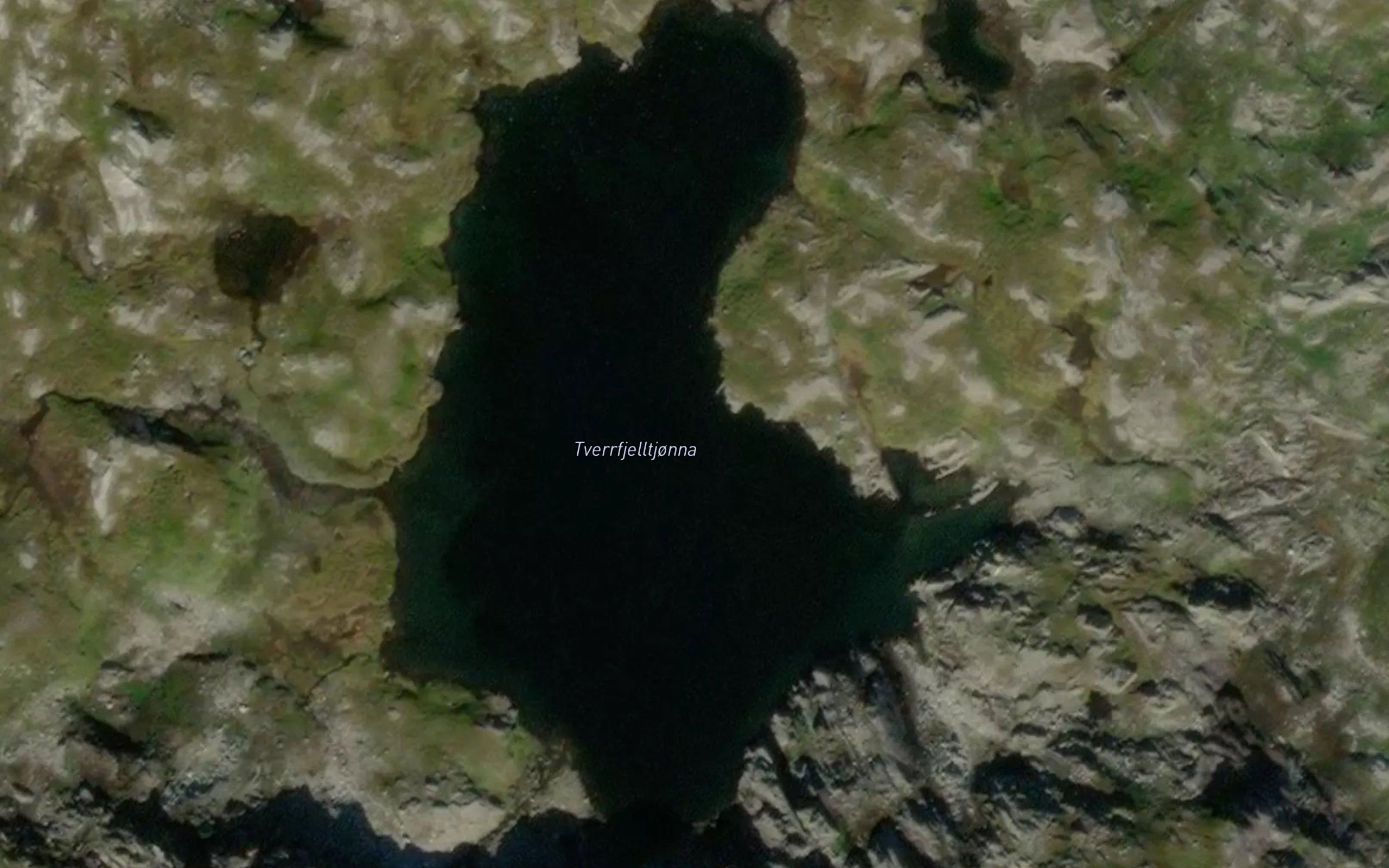 Tverrfjelltjorna