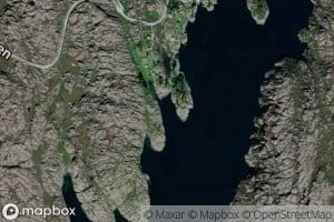 Vinbaervika