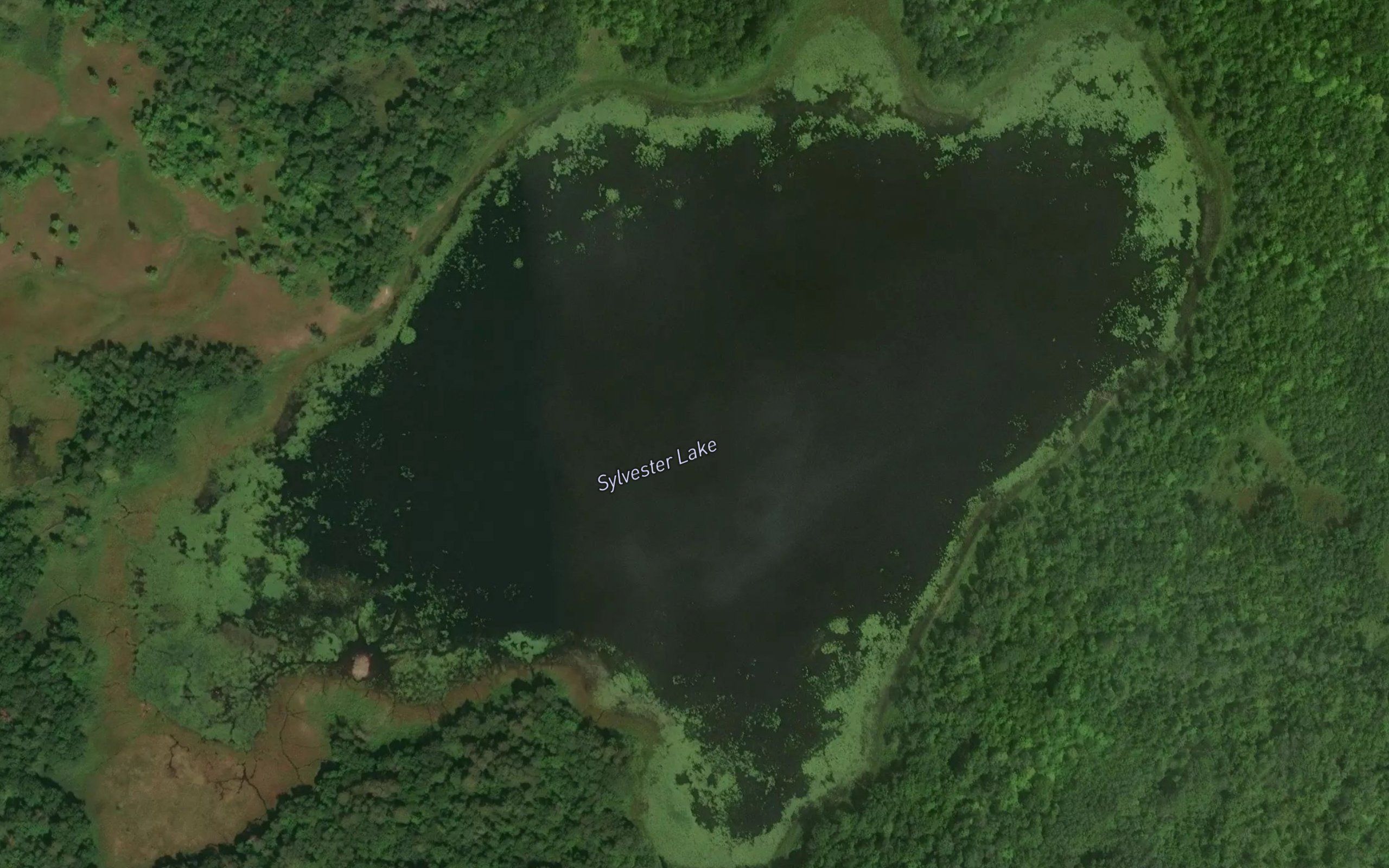 Sylvester Lake