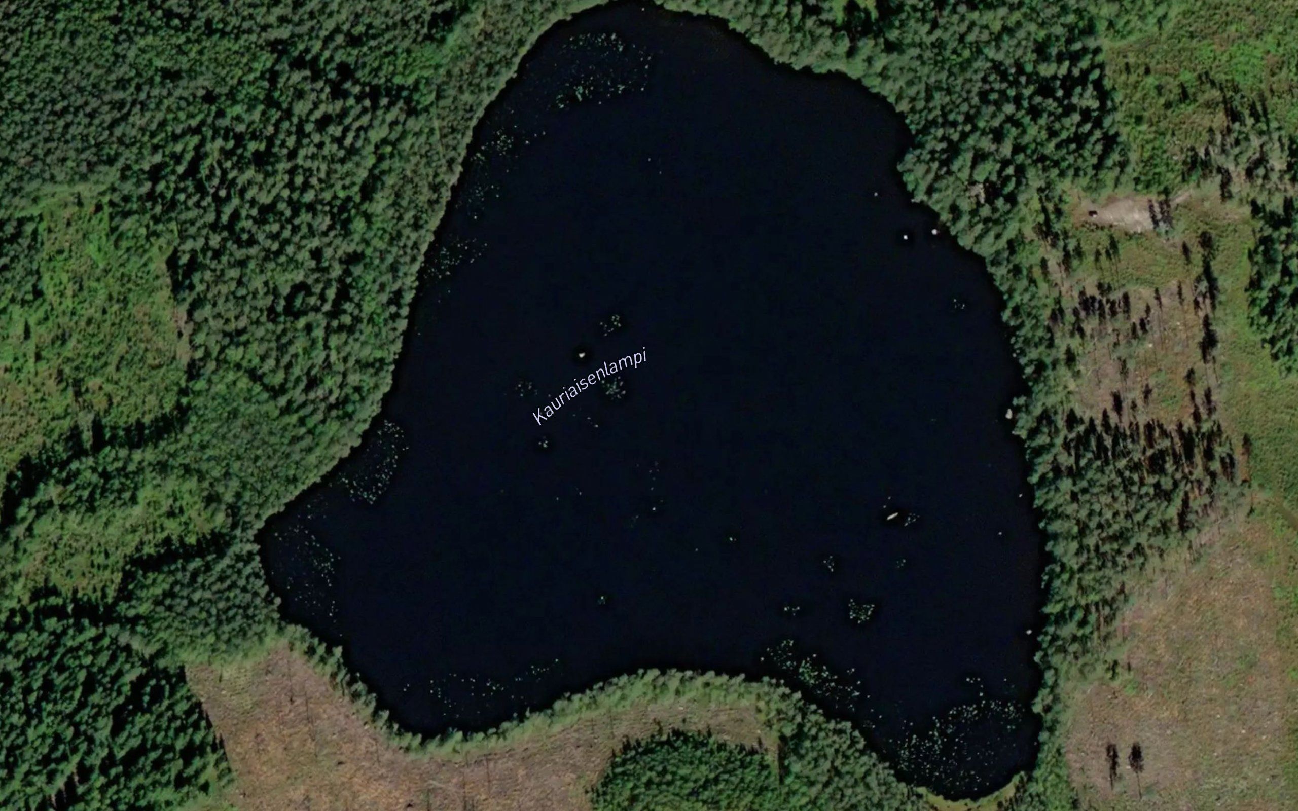 Kauriaisenlampi