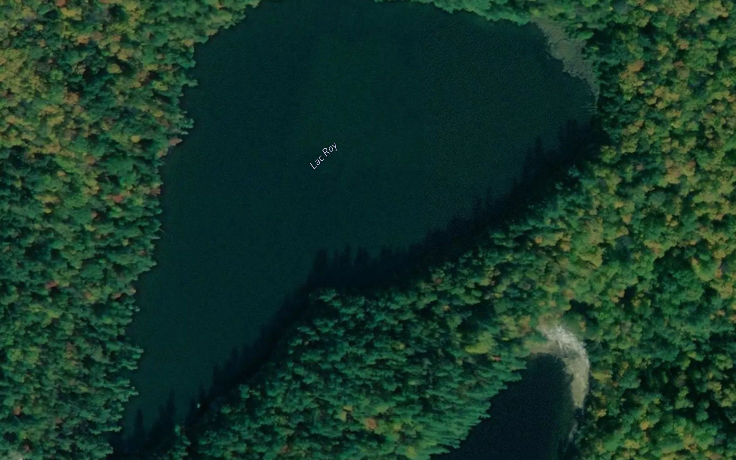 Lac Roy