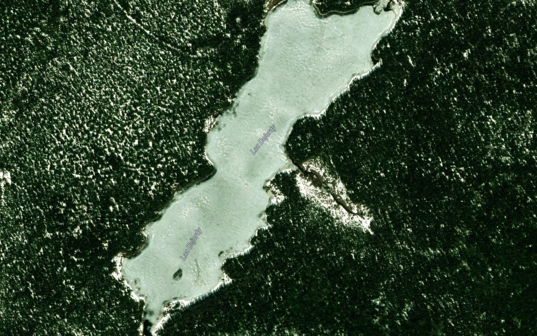 Satellite map of the Lac Dejordy