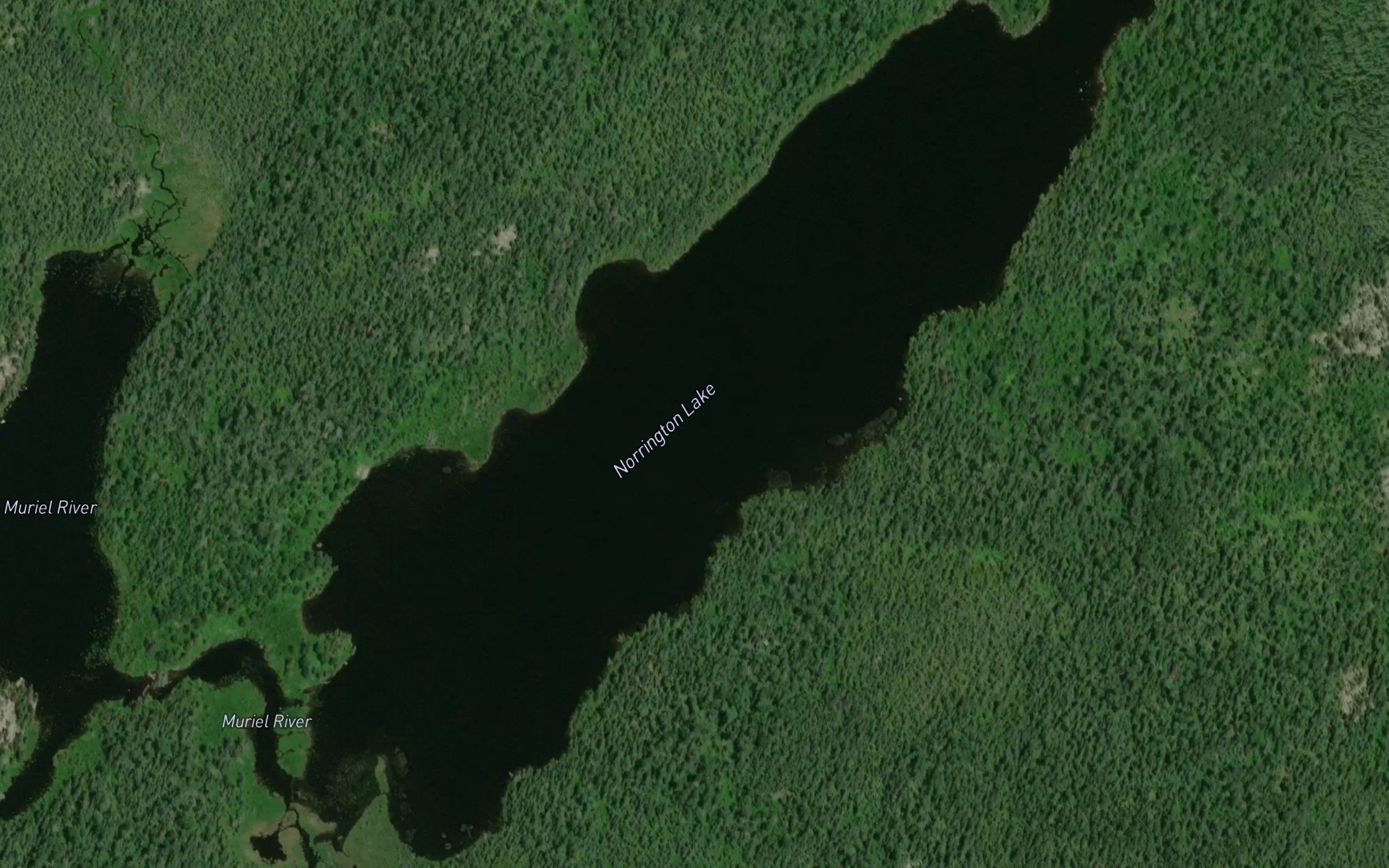 Norrington Lake