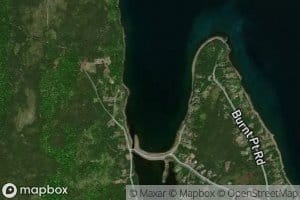 Western Spread Eagle