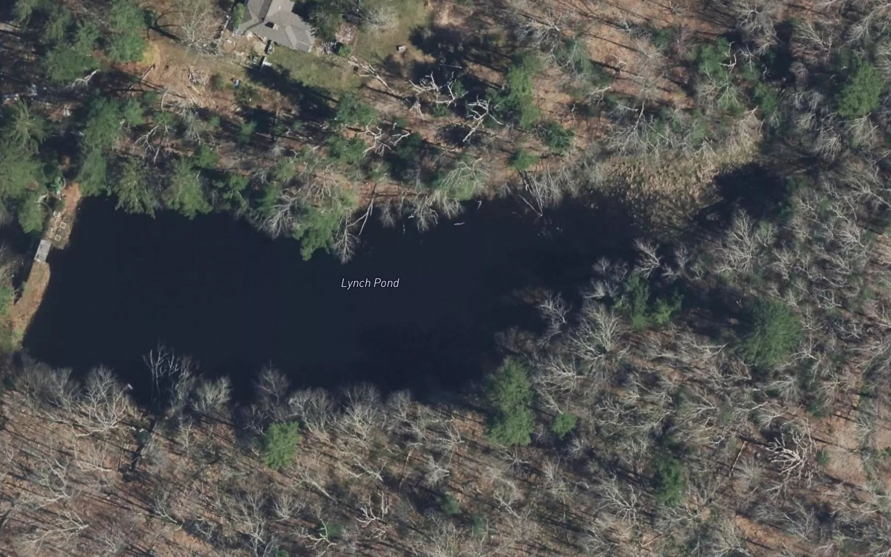 Satellite map of the Lynch Pond