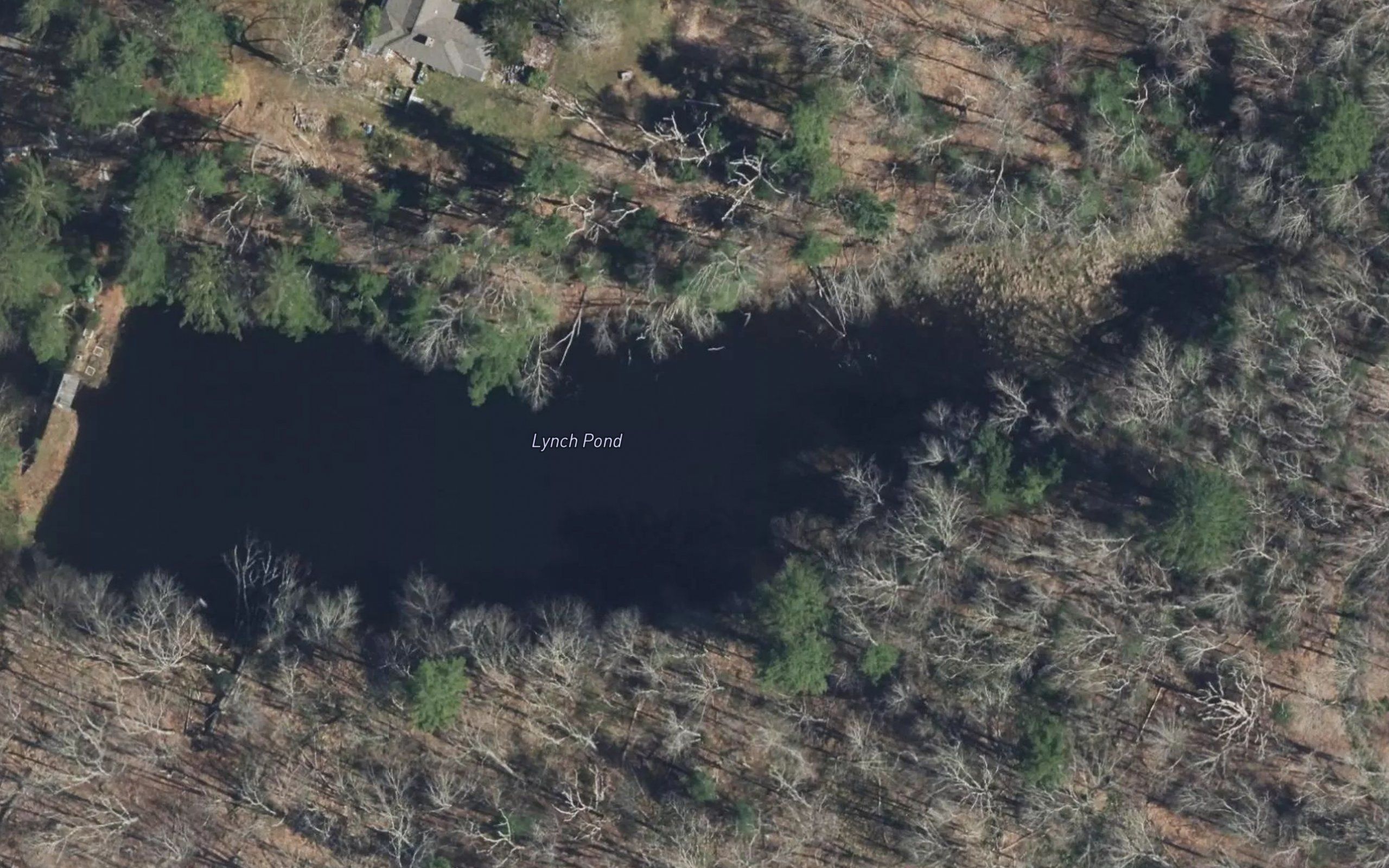 Lynch Pond