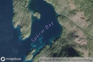 Sperm Bay