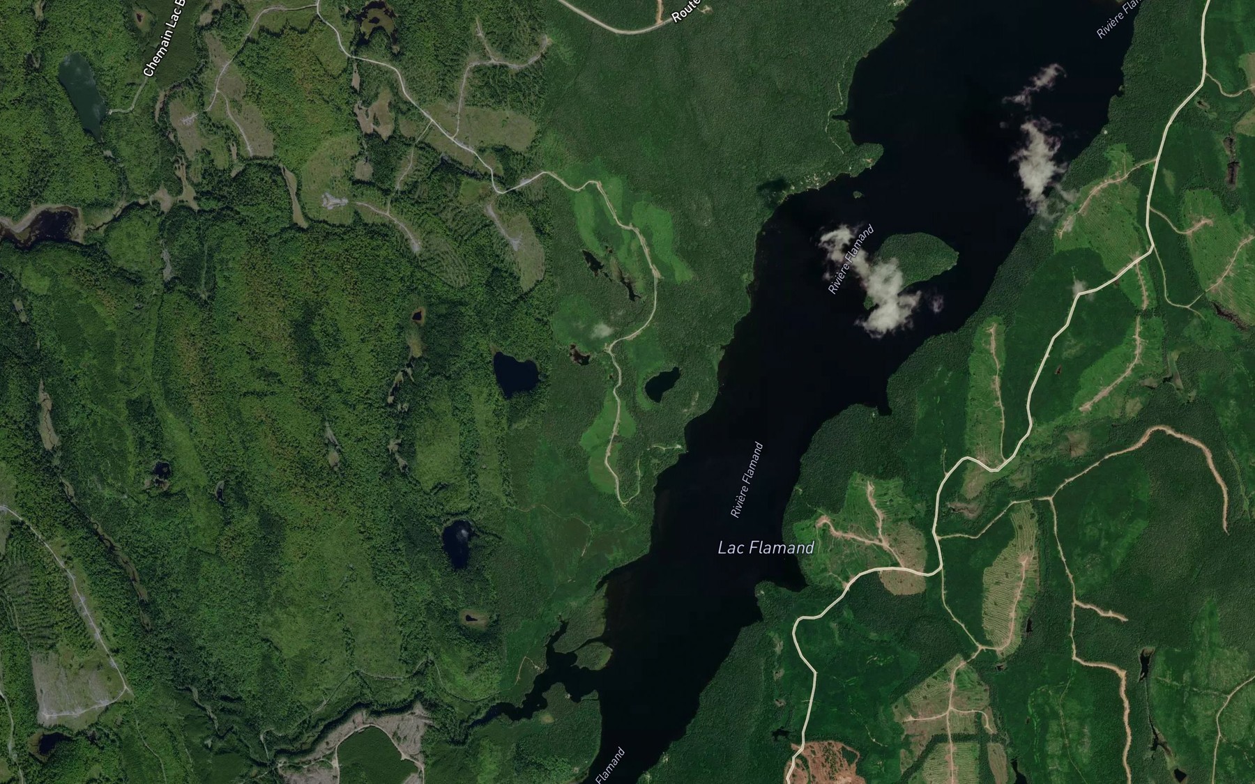 Satellite map of the Lac de la Cote