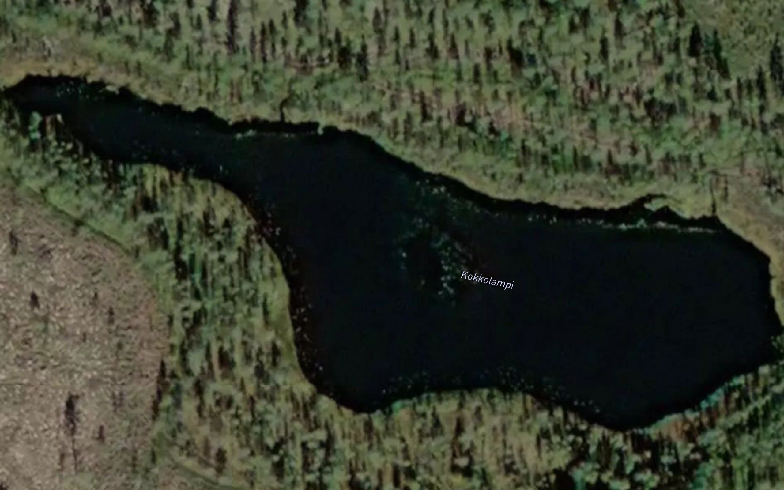 Kokkolampi