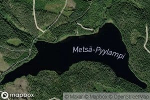 Metsa-Pyylampi
