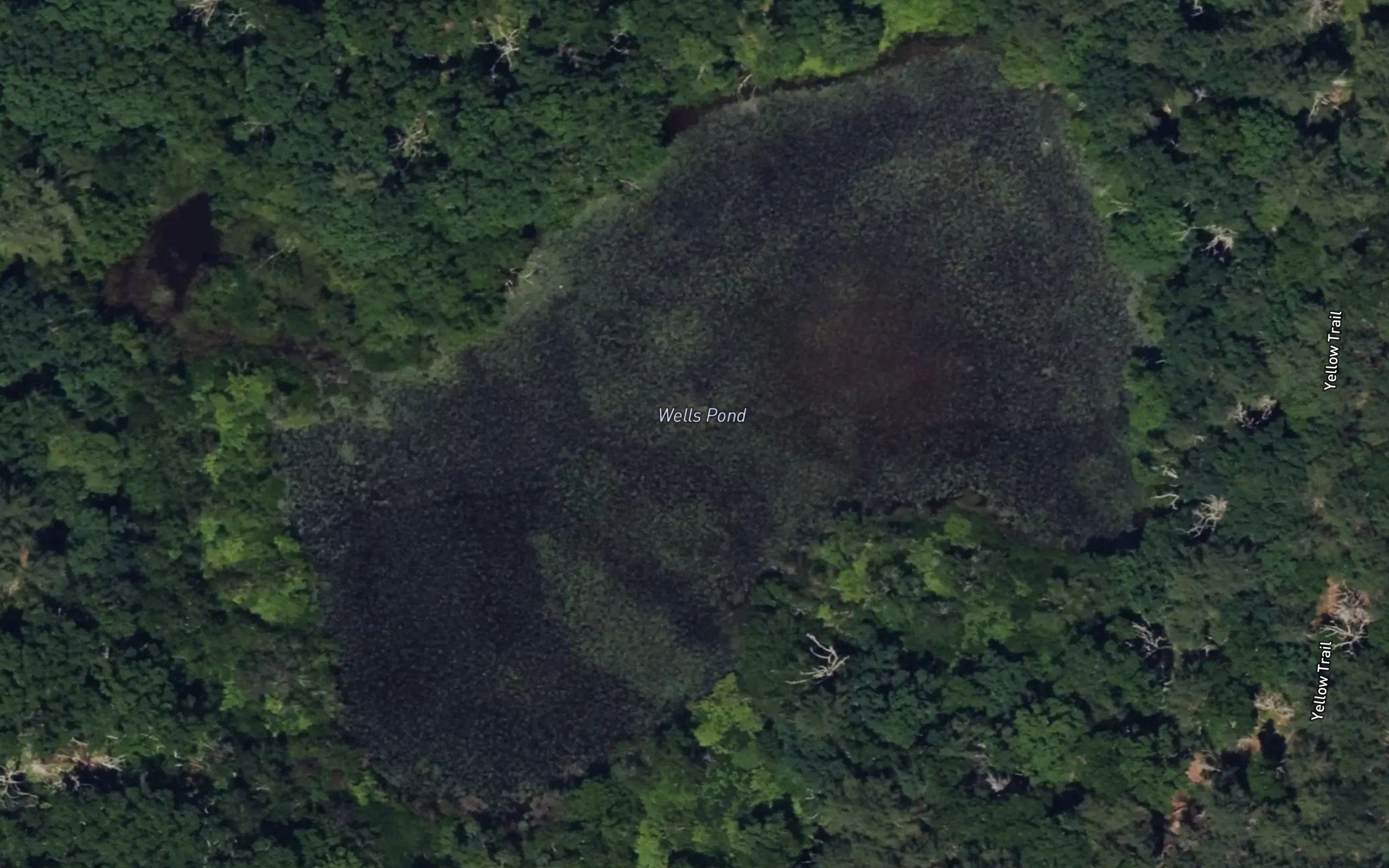 Wells Pond