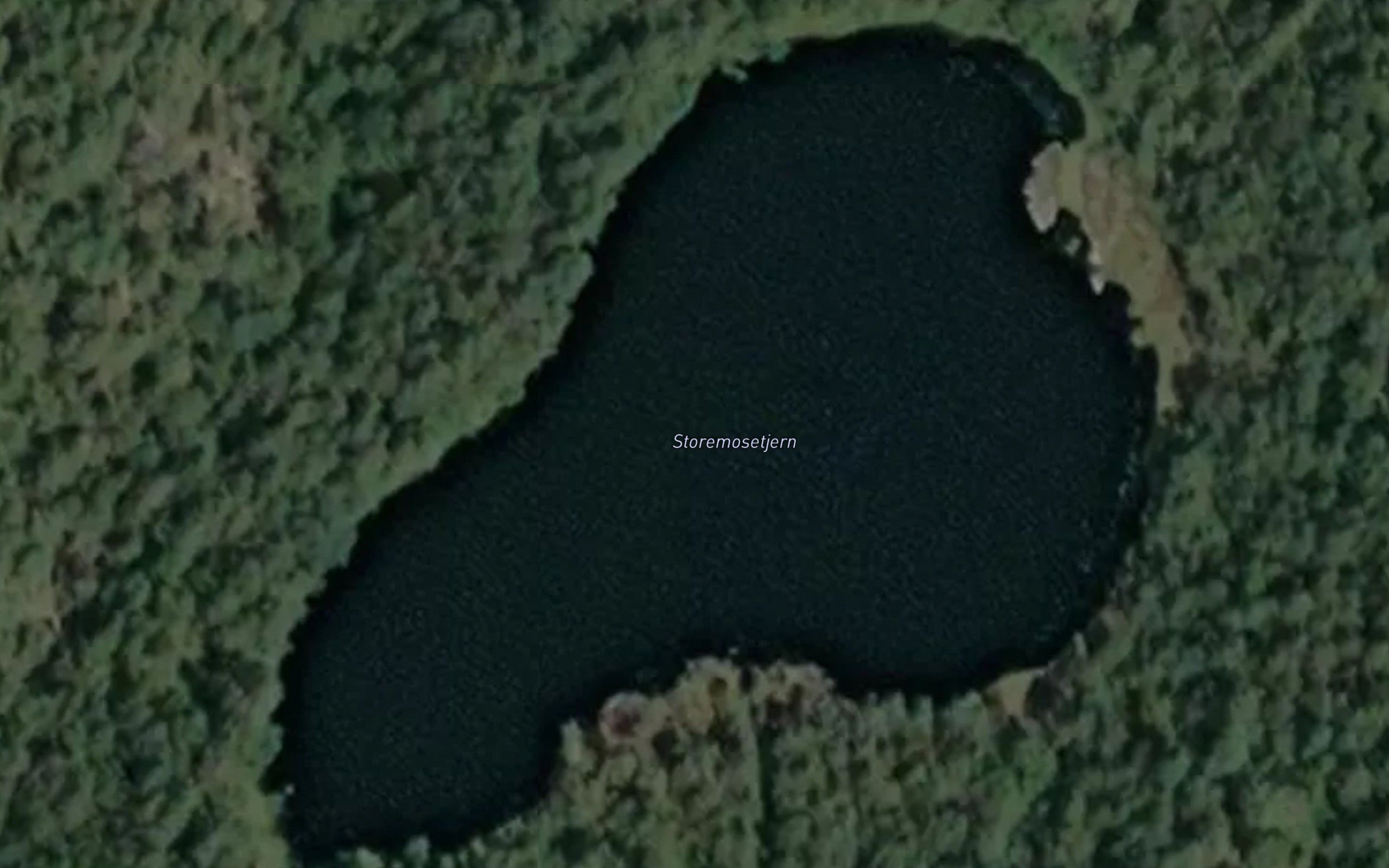 Storemosetjern