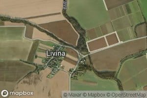 Livina